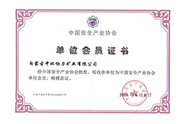中國安全產(chǎn)業(yè)協(xié)會會員證書